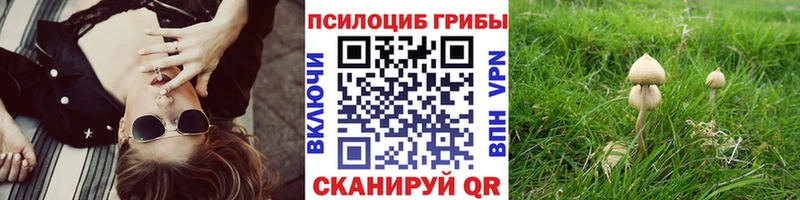 Галлюциногенные грибы прущие грибы Рассказово